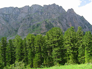 ALTAI