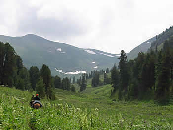 ALTAI