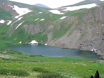 ALTAI
