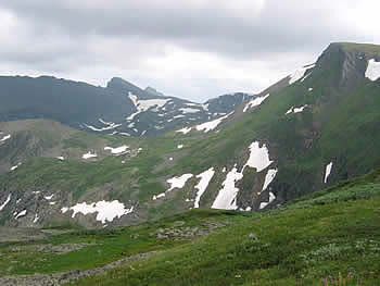 ALTAI