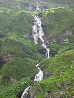 ALTAI