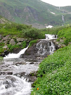 ALTAI