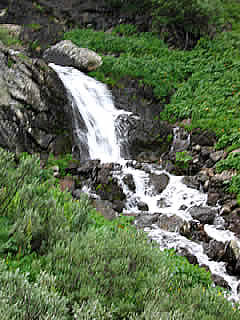 ALTAI