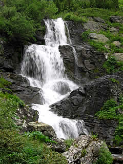 ALTAI
