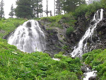 ALTAI