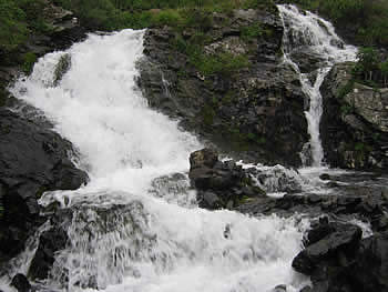 ALTAI