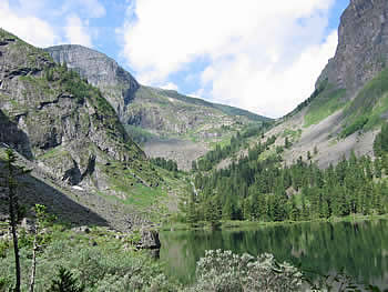 ALTAI