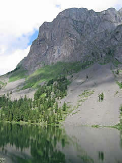 ALTAI