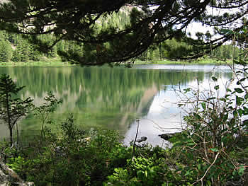 ALTAI
