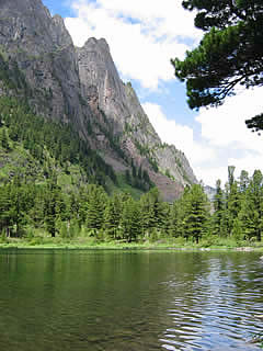 ALTAI