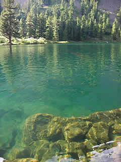 ALTAI