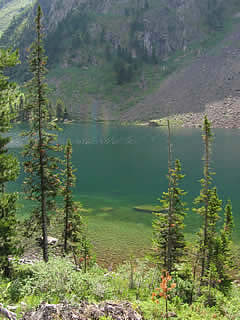 ALTAI