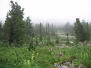 althaiman.ru