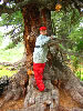 althaiman.ru