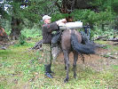 althaiman.ru