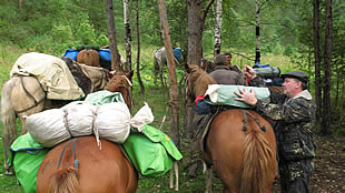 ЧЕМАЛ ГОРЫЙ АЛТАЙ_CHEMAL GORNYI ALTAI