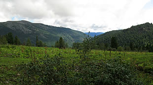 ЧЕМАЛ ГОРЫЙ АЛТАЙ_CHEMAL GORNYI ALTAI