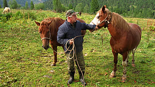 ЧЕМАЛ ГОРЫЙ АЛТАЙ_CHEMAL GORNYI ALTAI