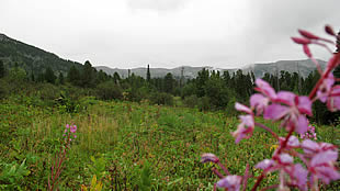 ЧЕМАЛ ГОРЫЙ АЛТАЙ_CHEMAL GORNYI ALTAI