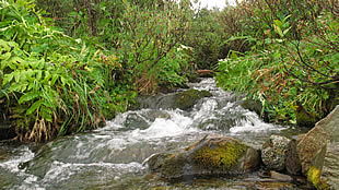 ЧЕМАЛ ГОРЫЙ АЛТАЙ_CHEMAL GORNYI ALTAI