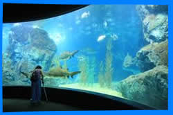 ВСЕ ОТЕЛИ КО ЧАНГ ОТДЫХ НА КОХ ЧАНГ ТУРЫ НА ОСТРОВ КО ЧАНГ KOH CHANG KOH CHANG ISLAND KOH CHANG HOTELS