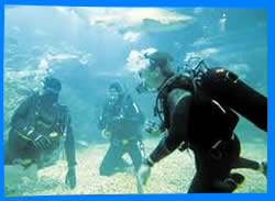 ВСЕ ОТЕЛИ КО ЧАНГ ОТДЫХ НА КОХ ЧАНГ ТУРЫ НА ОСТРОВ КО ЧАНГ KOH CHANG KOH CHANG ISLAND KOH CHANG HOTELS