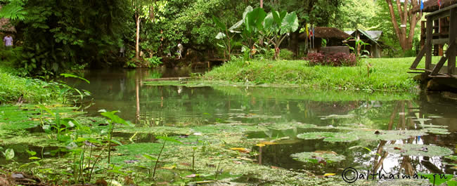 FISH CAVE_ПЕЩЕРА РЫБ _МАЕ ХОНГ СОН_MAEHOHGSON MAE HONG SON_МАЕХОНГСОН_MAEHONGSON_МАЕ ХОНГ СОН