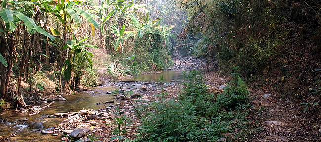 MAE YEN WATERFALL PAI THAILAND_ВОДОПАД МЕ ЙЕН МА ЕН 