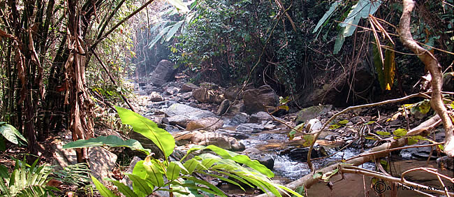 MAE YEN WATERFALL PAI THAILAND_ВОДОПАД МЕ ЙЕН МА ЕН 