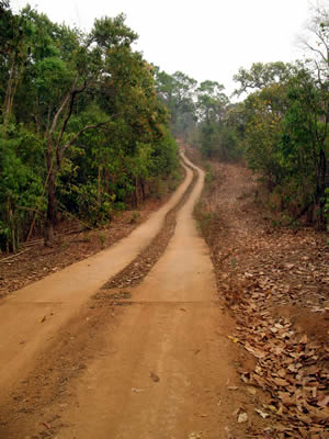 PA PUEK CAVE_ПЕЩЕРА  ПА ПЫК ПЫЫК_МАЕ ХОНГ СОН_MAEHOHGSON