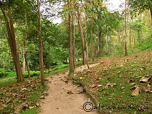 MAE HONG SON_МАЕХОНГСОН_MAEHONGSON_МАЕ ХОНГ СОН  МАЕХОНГСОН_MAEHONGSON_PAI_ГОРЯЧИЕ ИСТОЧНИКИ_СЕВЕРНЫЙ ТАИЛАНД