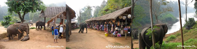 CHIANG MAI NORTH THAILAND HOTELS HOSTELS RESORTS BUNGALOWS_ ����� ��� ���� ��� �������� �������_maepingelephant