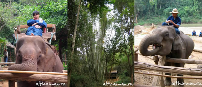 CHIANG DAO CAVE_ ������ ����� ���_CHIANG MAI_����� ���_�������� �������
