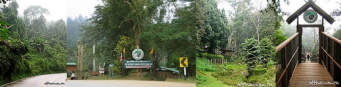 CHIANG DAO CAVE_ ������ ����� ���_CHIANG MAI_����� ���_�������� �������