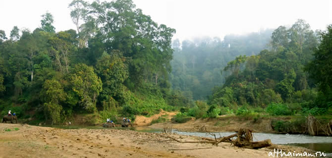 CHIANG MAI NORTH THAILAND HOTELS HOSTELS RESORTS BUNGALOWS_ ����� ��� ���� ��� �������� �������_maepingelephant