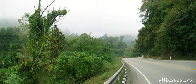 CHIANG MAI NORTH THAILAND HOTELS HOSTELS RESORTS BUNGALOWS_ ����� ��� ���� ��� �������� �������_maepingelephant