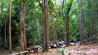 TADMORK WATERFALL THAILAND_ВОДОПАД ТАД МОРК ТАИЛАНД