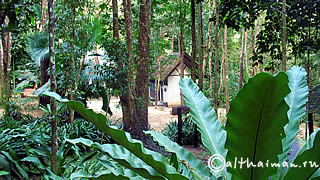 TADMORK WATERFALL THAILAND_ВОДОПАД ТАД МОРК ТАИЛАНД