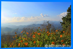 Чианг Май Тайланд Чанг Май Chiang Mai  Отели Чианг Мая Chiang Mai Hotels