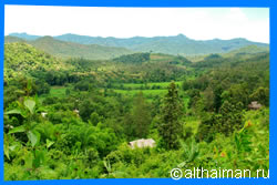 Чианг Май Тайланд Чанг Май Chiang Mai  Отели Чианг Мая Chiang Mai Hotels