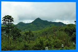 Чианг Май Тайланд Чанг Май Chiang Mai  Отели Чианг Мая Chiang Mai Hotels