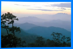 Чианг Май Тайланд Чанг Май Chiang Mai  Отели Чианг Мая Chiang Mai Hotels