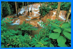 Чианг Май Тайланд Чанг Май Chiang Mai  Отели Чианг Мая Chiang Mai Hotels