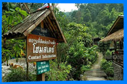 Чианг Май Тайланд Чанг Май Chiang Mai  Отели Чианг Мая Chiang Mai Hotels
