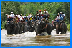 Чианг Май Тайланд Чанг Май Chiang Mai  Отели Чианг Мая Chiang Mai Hotels