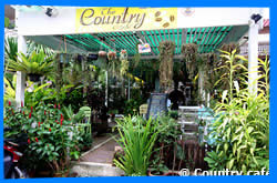 Чианг Май Тайланд Чанг Май Chiang Mai  Отели Чианг Мая Chiang Mai Hotels
