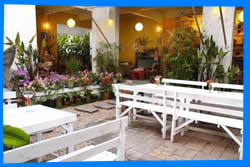 Чианг Май Тайланд Чанг Май Chiang Mai  Отели Чианг Мая Chiang Mai Hotels
