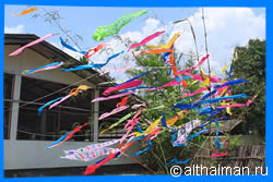 Фестивали и Праздники в Чианг Мае - Сонгкран, Лой Кратонг, Йи Пенг, Фестиваль цветов, Royal Flora Ratchaphruek