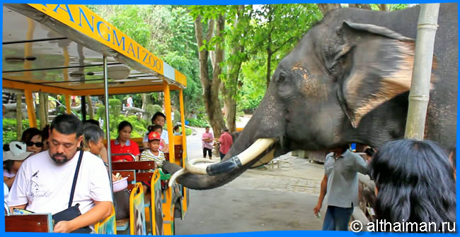 Чианг Май Тайланд Чанг Май Chiang Mai  Отели Чианг Мая Chiang Mai Hotels