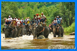 Зоопарк Чианг Мая - Чианг Май Тайланд Чанг Май Chiang Mai  Отели Чианг Мая Chiang Mai Hotels